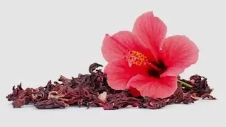 Cardio Slim Tea Ingredients 