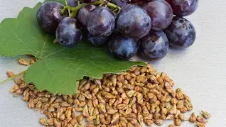 Cardio Slim Tea Ingredients 