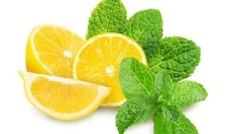 Cardio Slim Tea Ingredients 
